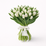 39cde08b-d553-49ba-858c-c1a25530e0f1 - surprize.md