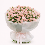 4ddc57ec-c582-4cec-9fe9-3e21b086d2b5 - surprize.md