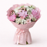 6b97f558-3539-4b95-a527-5a8ee4b466ed - surprize.md