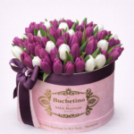 697591ae-5797-409c-8cea-bb3da10b06b0 - surprize.md