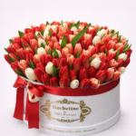 a45398e2-f5a2-4b22-904b-66dabeffb9f3 - surprize.md