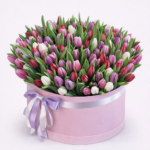 cf802267-6483-498d-a1ca-be23e6326727 - surprize.md